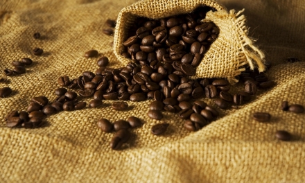 История происхождения кофе