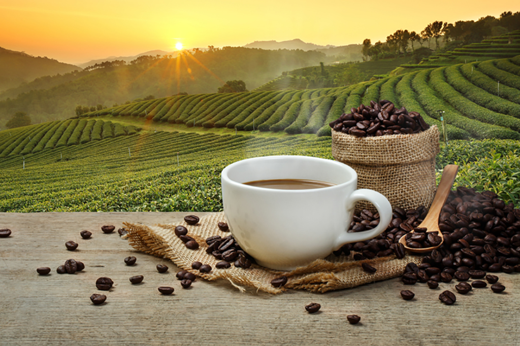 Насколько интенсивен вкус кофе Что такое крэк и почему он так важен для вкуса и запаха кофе