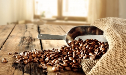 История происхождения кофе