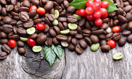 Арабика и робуста: чем отличаются популярные сорта кофе
